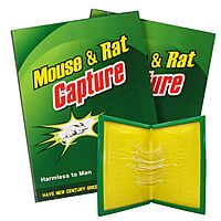 Mouse And Rat Capture