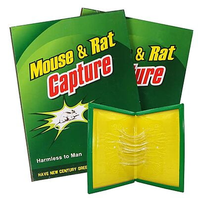 Mouse And Rat Capture