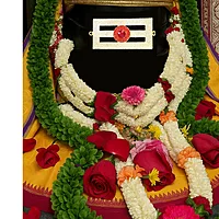 Gold Plated Vibuthi Pattai