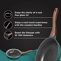 Preethi Artistic Collection Die Cast Non Stick Fry Pan, 24 cm,with Glass Lid