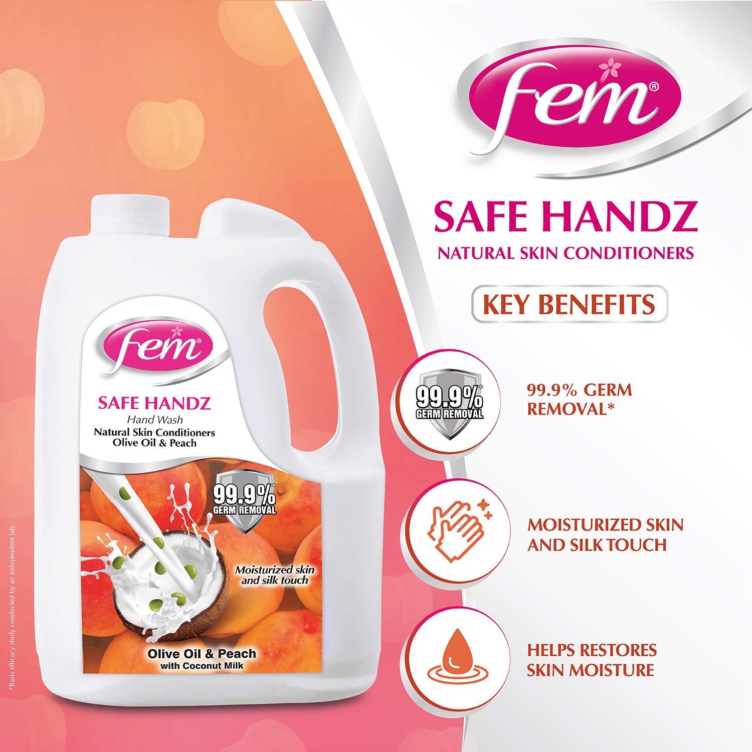 Fem Hand Wash 5 Ltr