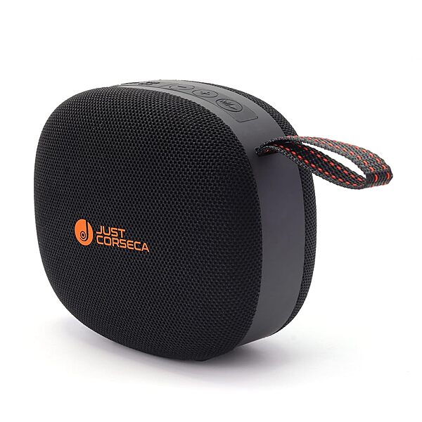 Just Corseca Seagle 30W Wireless Speaker – BT 5.3 | 30H Playtime | TWS | Splash Proof