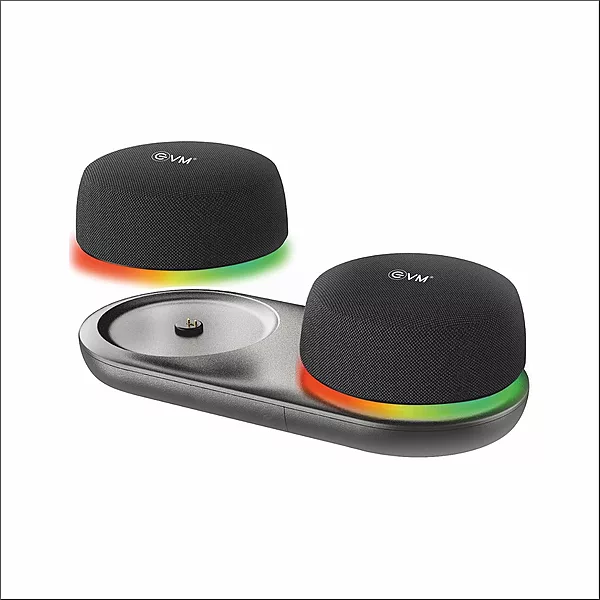 EVM BTS-206 EnTwins 2.0 Stero Speaker