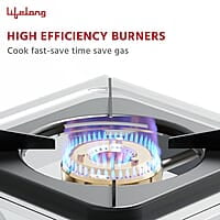 Lifelong Automatic Ignition 1 Burner Stainless Steel Gas Stove Doorstep Service