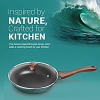 Preethi Artistic Collection Die Cast Non Stick Fry Pan, 24 cm,with Glass Lid
