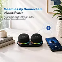 EVM BTS-206 EnTwins 2.0 Stero Speaker