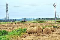 Straw Baling & Packaging Service