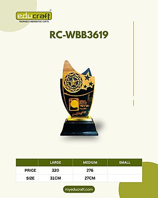 RC-WBB3619A 31CM