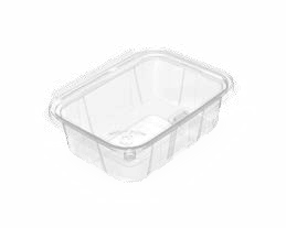Tamper Evident Containers: Button Lock Series-TE 750/20
