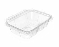 Tamper Evident Containers: Button Lock Series-TE 750/24
