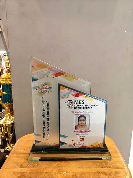 HAT-519 32CM (THICKNESS 12MM)