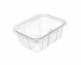 Tamper Evident Containers: Button Lock Series-TE 750/32