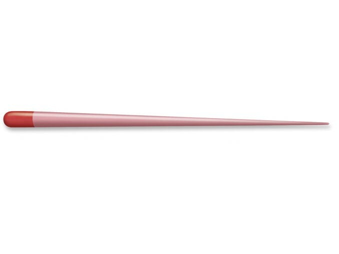 Dentsply ProTaper Next Gutta Percha Points