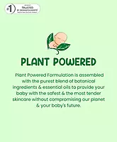 Mother Sparsh Plant Powered Natural Liquid Cleanser Refill Pack - 500 ml