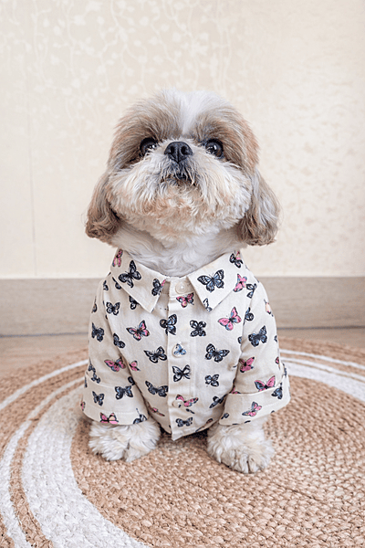 Butterfly Cotton Shirt