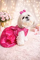Hot Pink Barbie Dress