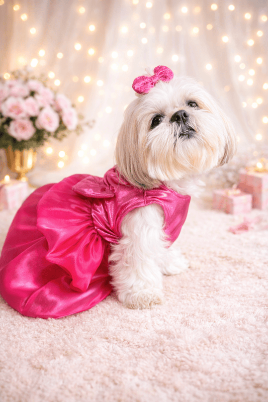 Hot Pink Barbie Dress