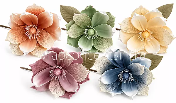 Ethereal Bloom Collection