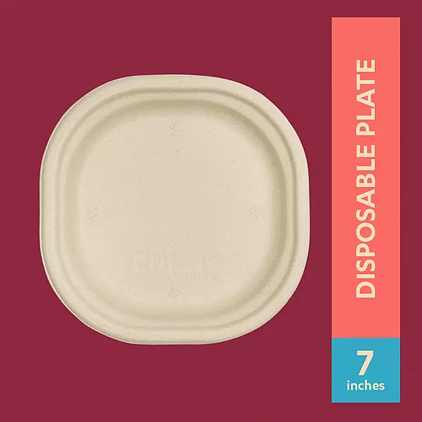 CHUK 7"Disposable Plate