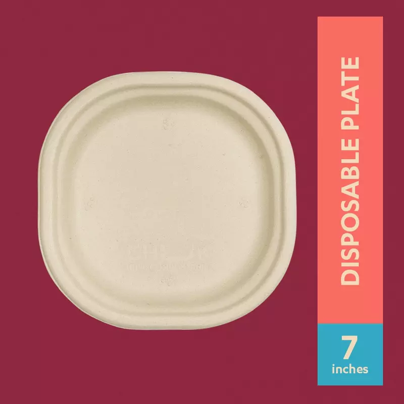 CHUK 7"Disposable Plate