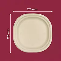 CHUK 7"Disposable Plate