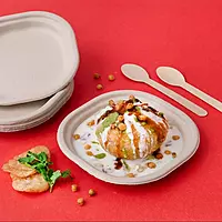 CHUK 7"Disposable Plate