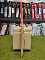 CRICKET BAT GN DELTA GN4