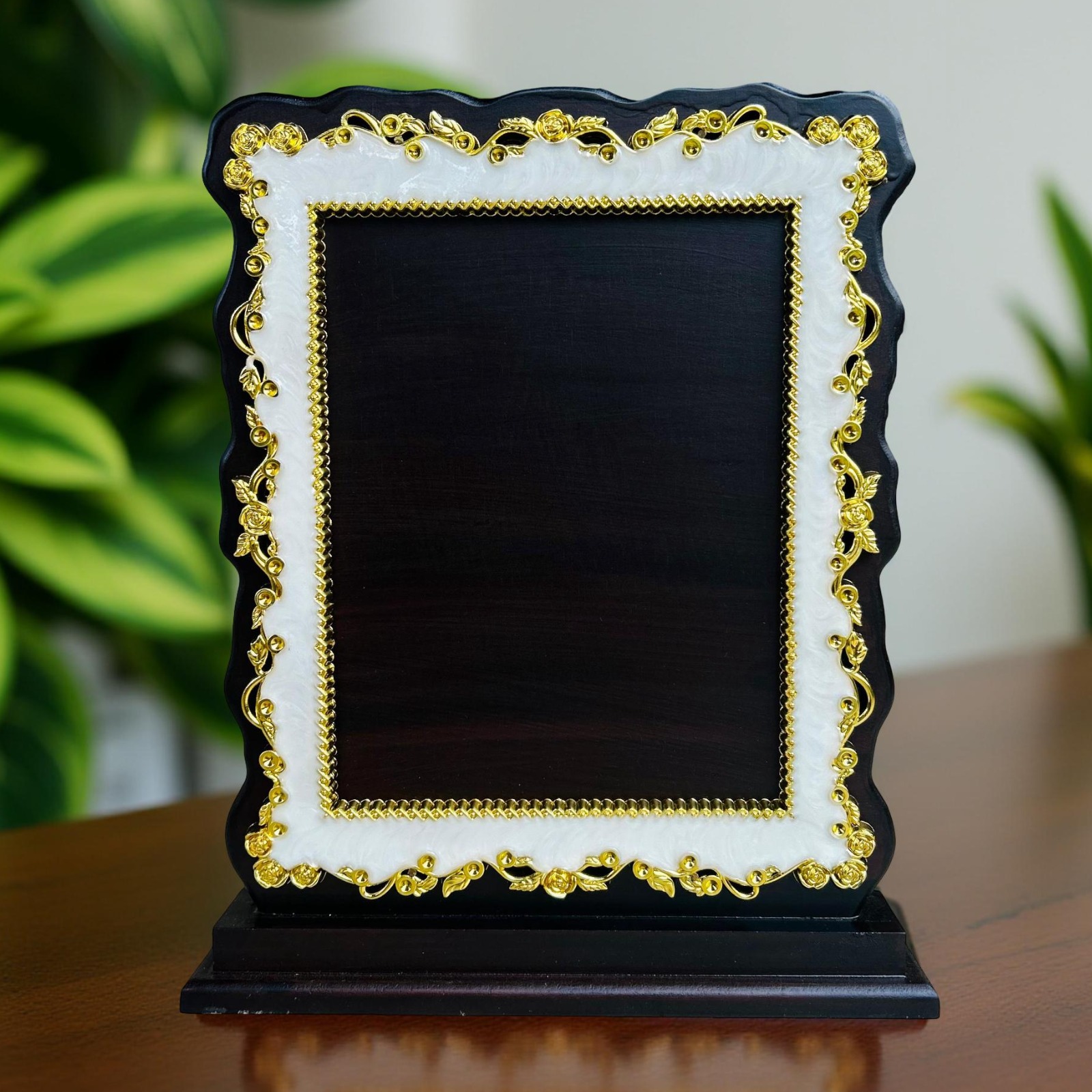 DSN-1137M H29.50CMXW21CM (18MM) 12%