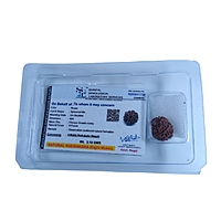 8 Mukhi Rudraksha Nepali