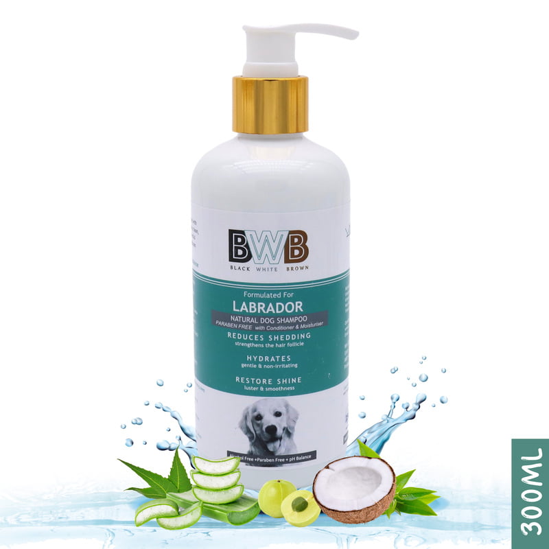 BWB LABRADOR SHAMPOO
