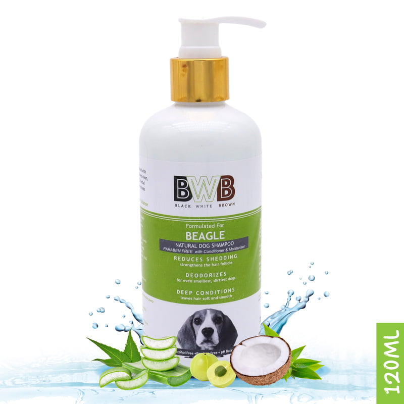 BWB BEAGLE SHAMPOO