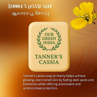 Our Green India  Tanner's Cassia Soap