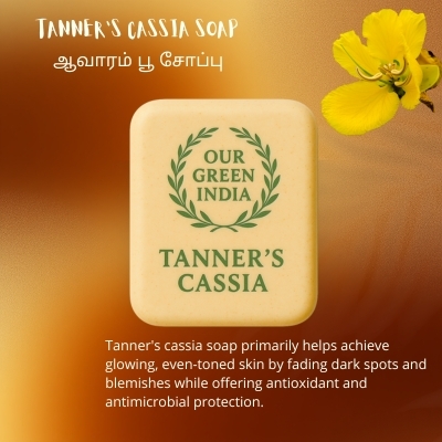Our Green India Tanner's Cassia Soap