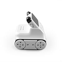 Codey Rocky Codey Rocky