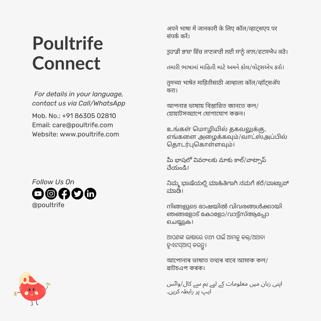 MYTOX FS – Advanced Mycotoxin Binder for Feed Safety