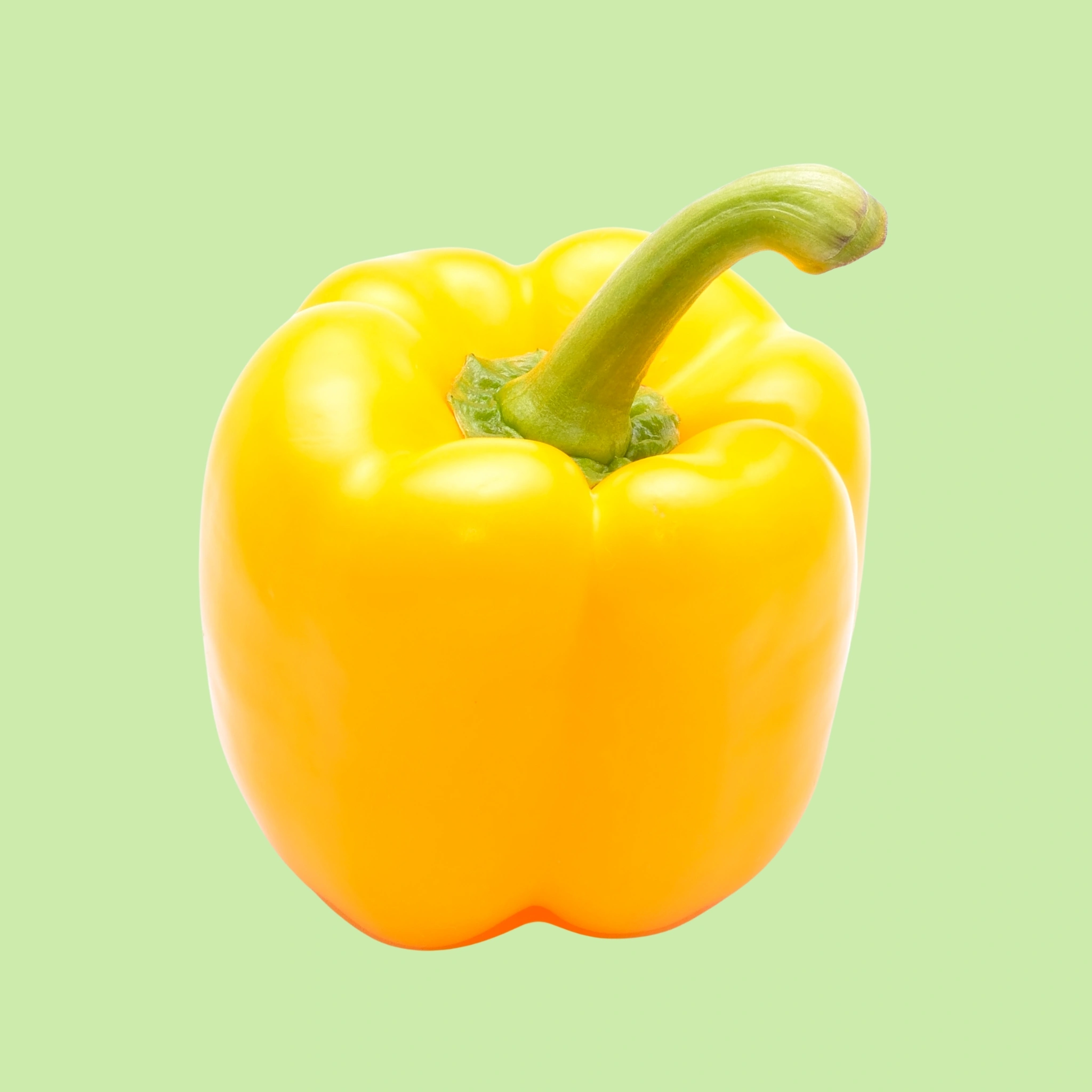 Capsicum Yellow