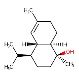 Immersion Oil 125ml Synthetic for microscopy SRL