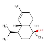 Immersion Oil 125ml Synthetic for microscopy SRL
