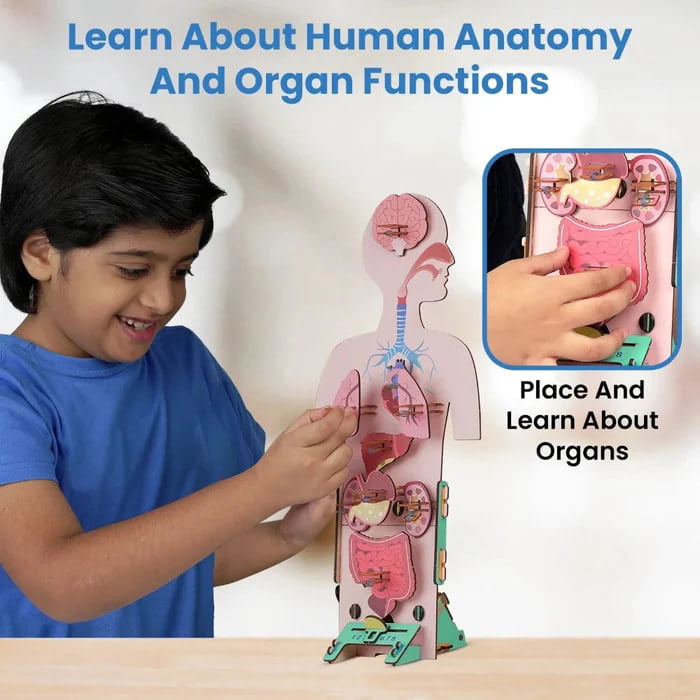Human Body Kit