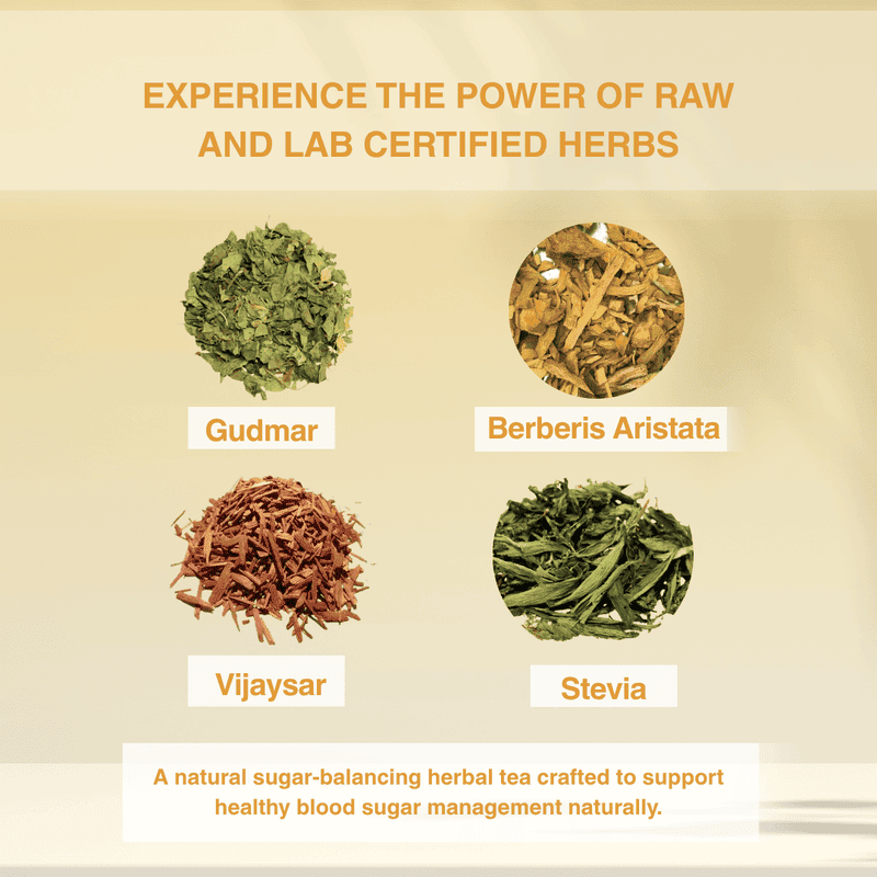 Diabetes Control Herbal Tea | Ayurvedic Sugar Balance Tea with Gudmar & Vijaysar