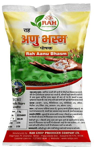 ANU BHASM (1-KG)