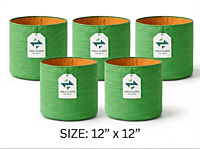 Yella Terrace Garden Kit + 40L Compost Bin | Complete Home Gardening Starter Kit for Beginners