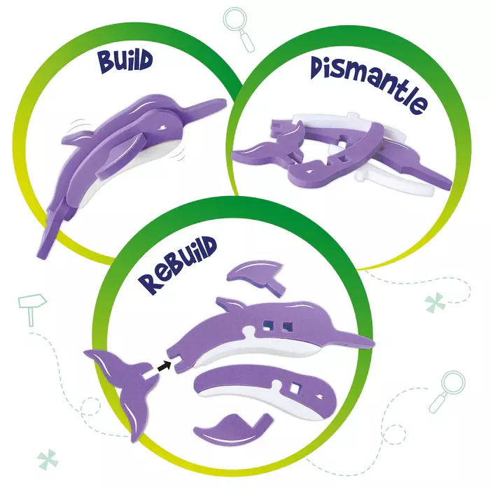 Mapology - National Symbol of India