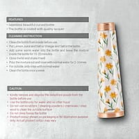 MILTON Copper Delight Design Water Bottle, 915 ml, Ethnic  Lacquer Coating, Curved bottle
