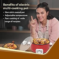 AGARO Regal Electric Multi Cooking Pot, 3L, 1200W, Steamer, Fryer, Aluminium Pot, Glass Lid