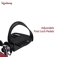 Lifelong LLFCN18 Steel Exercise Air Bike with Moving Handles & Back Support