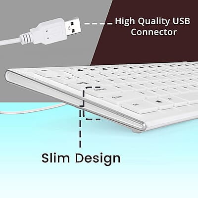 Zebronics DLK01 (White) Wired Keyboard Zebronics DLK01 (White) Wired Keyboard