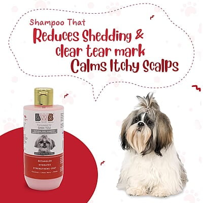 BWB SHIHTZU SHAMPOO_COMBO PACK_250ML+250ML BWB SHIHTZU SHAMPOO_COMBO PACK_250ML+250ML
