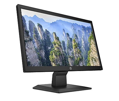 HP V20 19.5 inch 49.53 cm Monitor HD