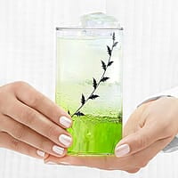 Borosil Vision Black Krip 350 ml Set of 6 pcs Transparent Drinking Glass |Borosilicate Glass Tumblers for Water, Cold Drinks, Juice| Flame Proof, Microwave & Dishwasher Safe | for Daily use & Gifting